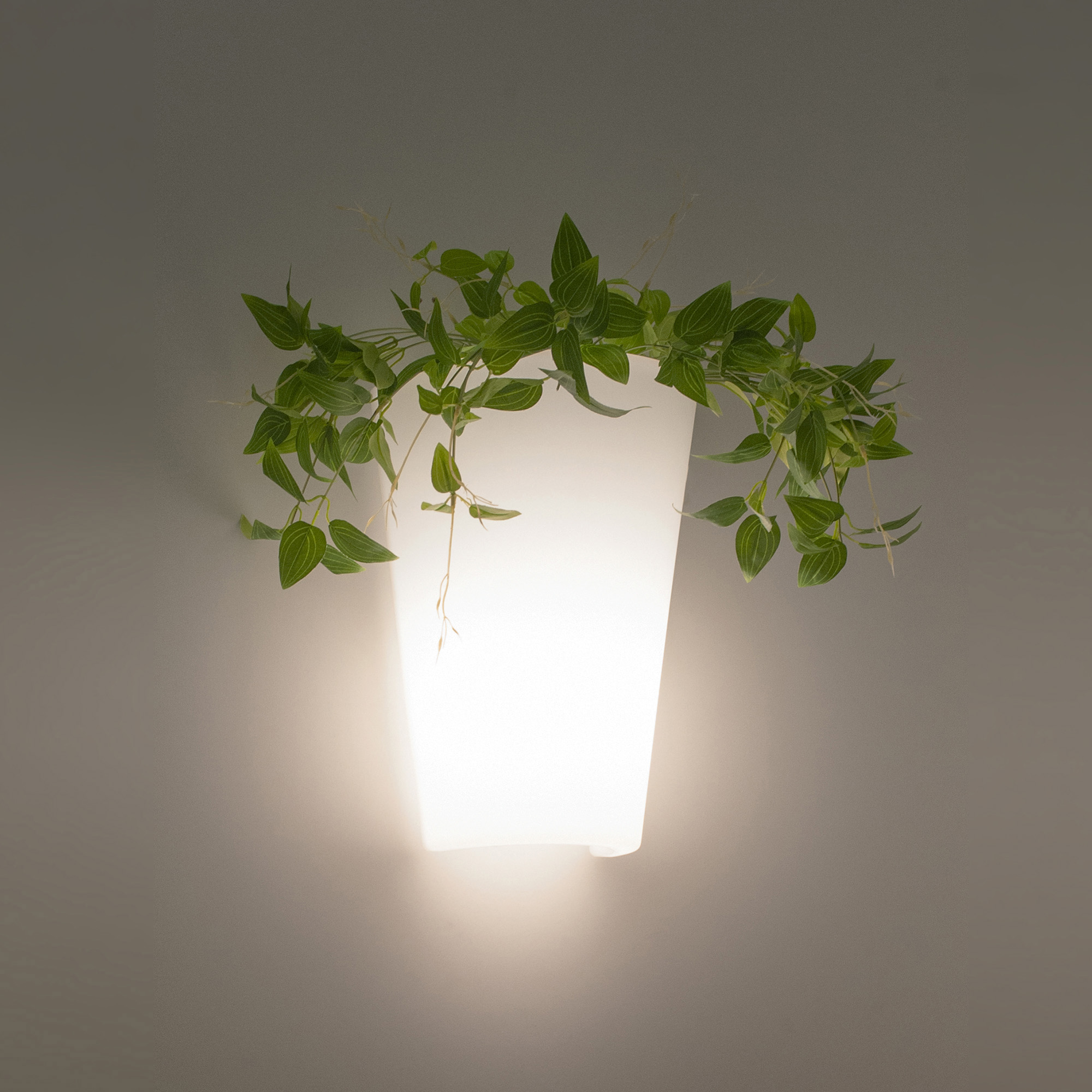 Teja Exterior Lights Mantra Exterior Wall Lights Teja Exterior Lights Mantra Exterior Wall Lights